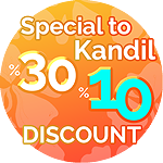 net %30 discout in cart