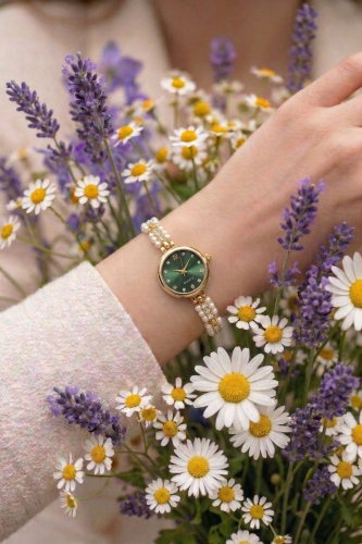 C.L.S.K. - Accessory 102CLSK1184 Emerald&Gold