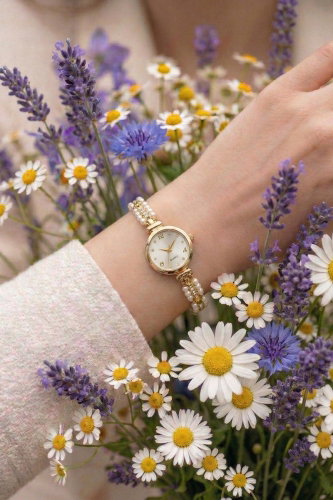 C.L.S.K. - Accessory 102CLSK1184 Gold