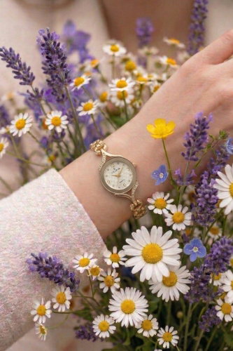 C.L.S.K. - Accessory 141CLSK1184 Gold