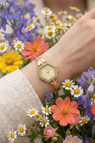 C.L.S.K. - الإكسسوار ذهبي 8762CLSK1184